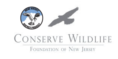 Conserve Wildlife Foundation